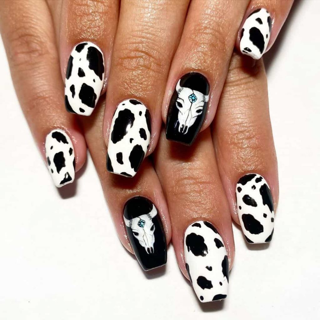 Cow