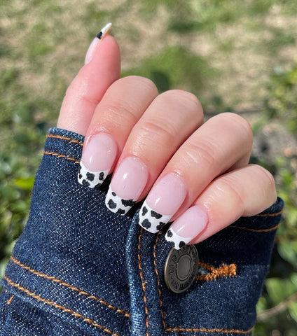 Cow