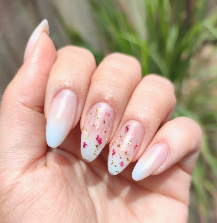 almond com flores secas e baby boomer ...