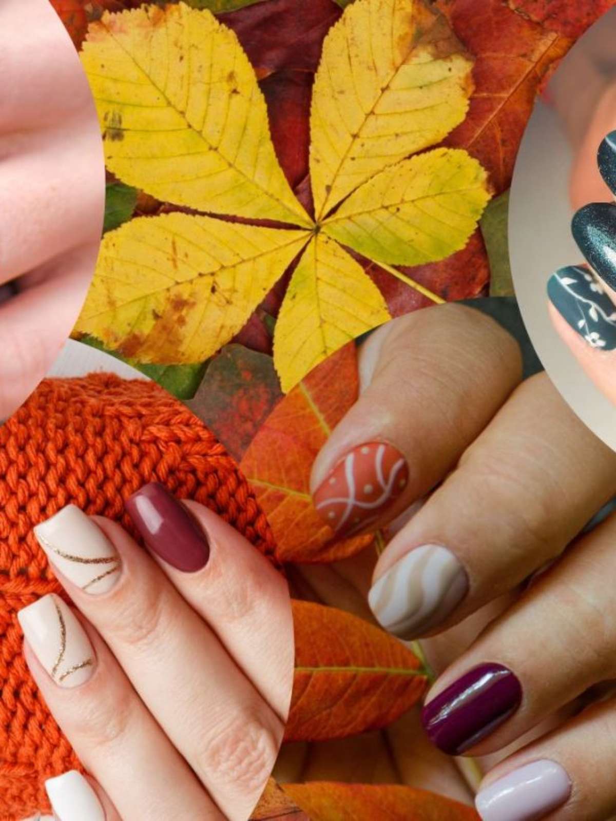 Unhas decoradas para o Outono! 20 fotos ...