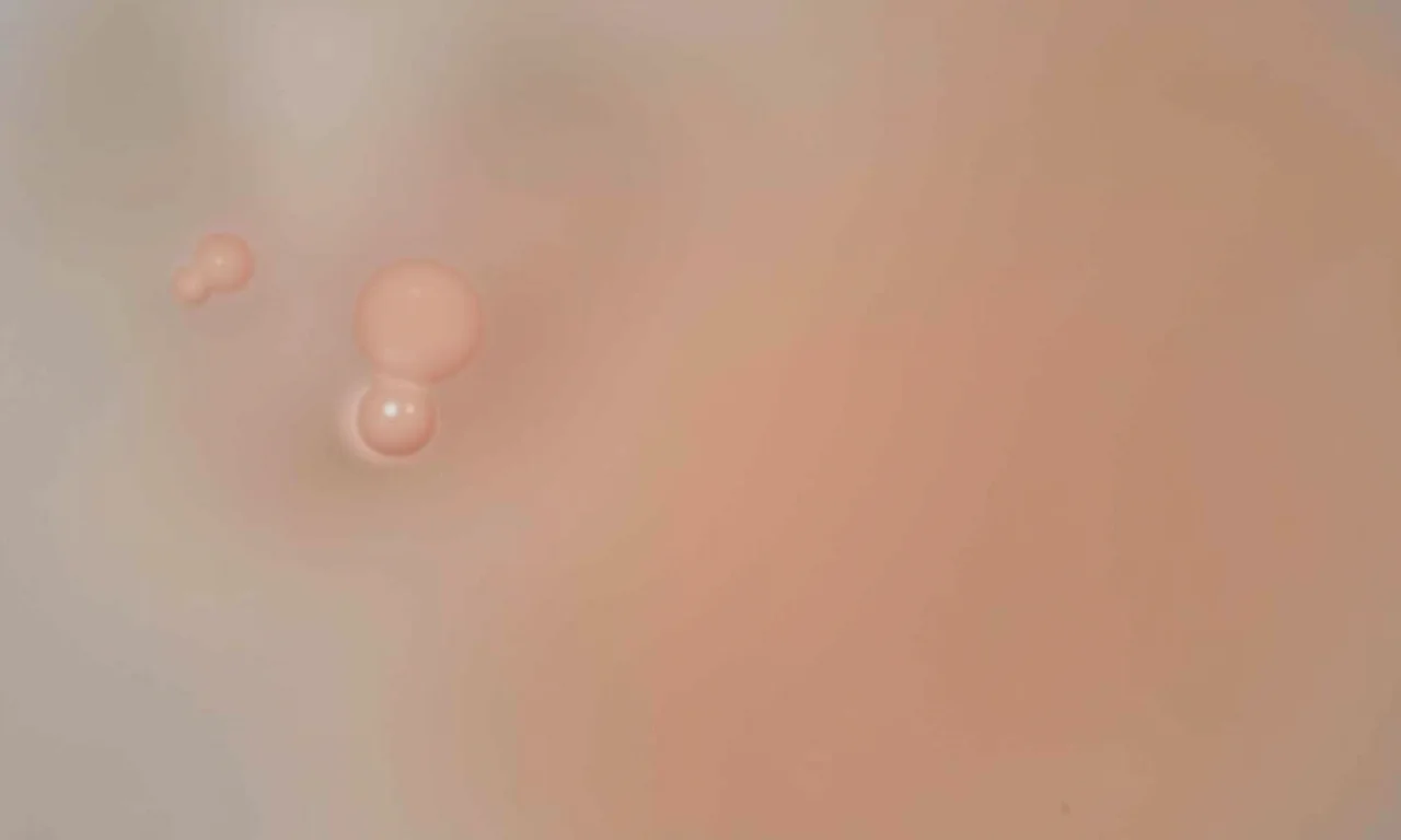 Unhas de gel minimalistas em tons neutros.