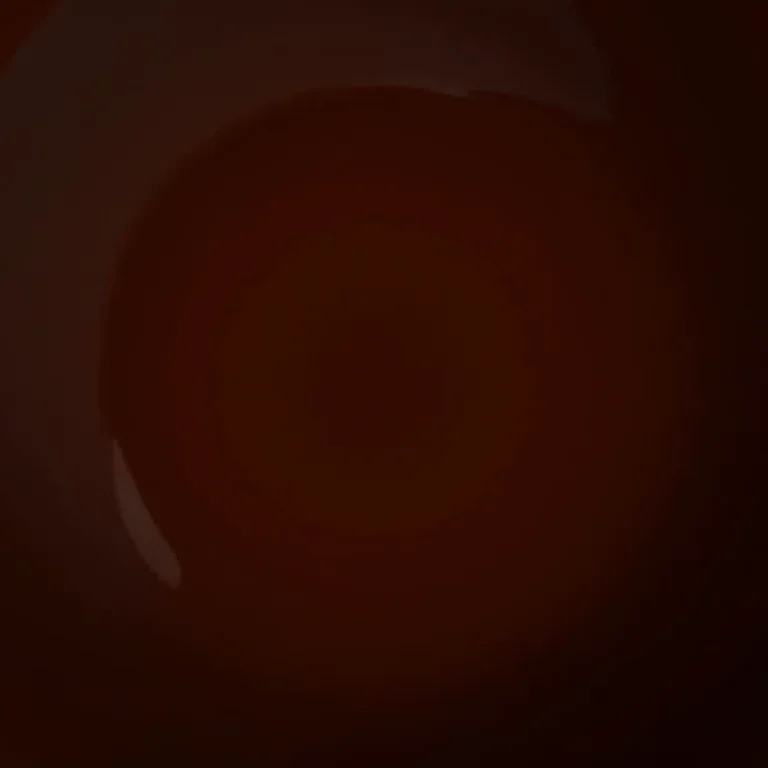 Melhor nude para pele morena escura