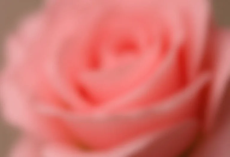 Unhas decoradas em gel rosa com flor