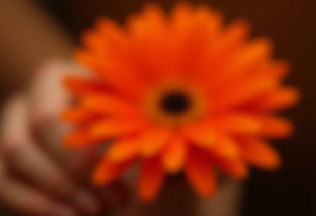 Unhas laranja e preto segurando gérbera laranja