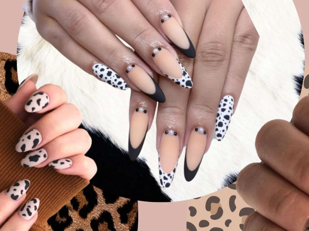 Animal Print Divertido: Oncinha, Vaquinha e Mais com Muita Facilidade - inspiração