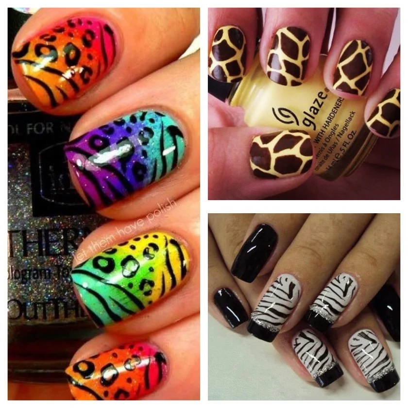 Animal Print Mix: Onça e Zebra em Harmonia - ideia