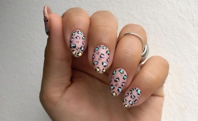 Em Tons Pastel: Oncinha Delicada - inspiração