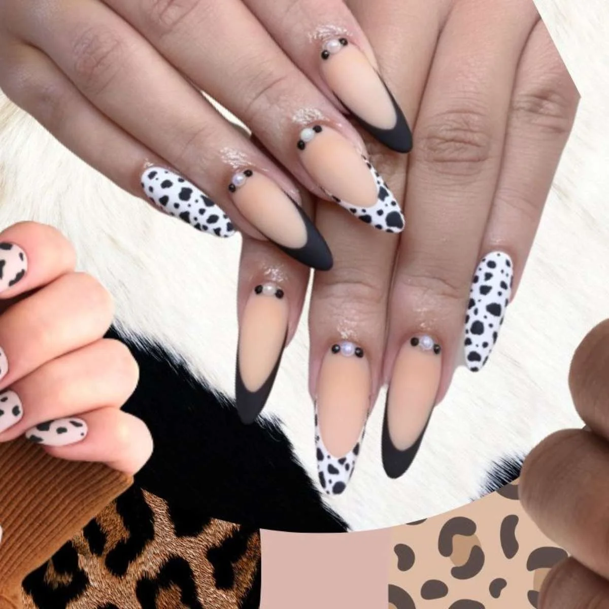 Estampa Animal Print em Preto e Branco: Ousadia Clássica - ideia