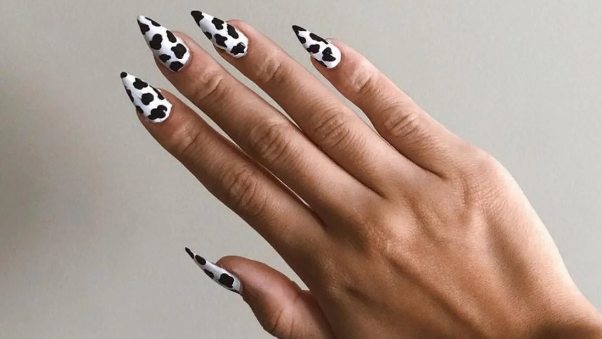 Vaquinha Minimalista: A Beleza na Simplicidade - inspiração