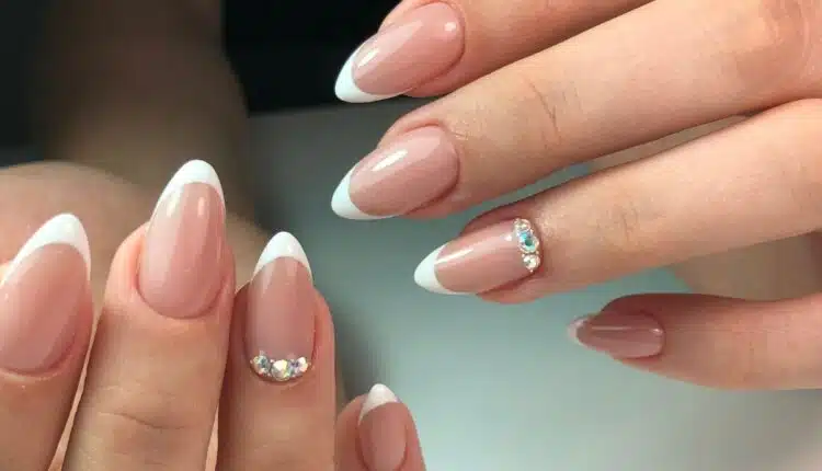 Francesinha Colorida Invertida: Reinventando o Clássico com um Toque Moderno - inspiração