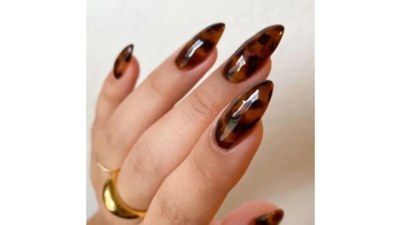 Estampa de Casca de Tartaruga em Tons Terrosos - inspiração